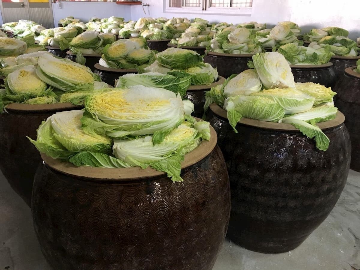 傳統道地的好滋味。(圖/酸中傳奇酸白菜)