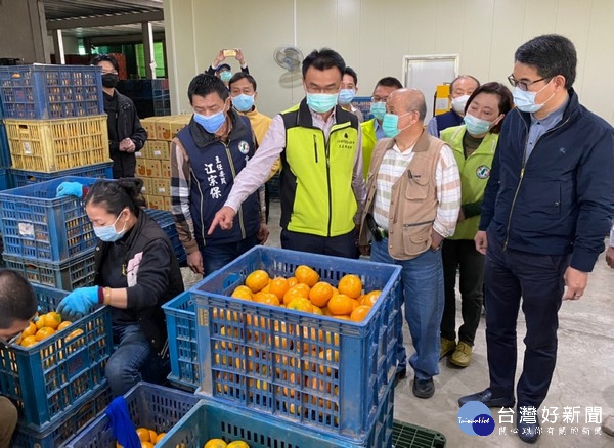 農委會主委陳吉仲與立委劉建國共同攜手合作,透過拓展外銷將臺灣優質安全茂谷柑送達世界各地。