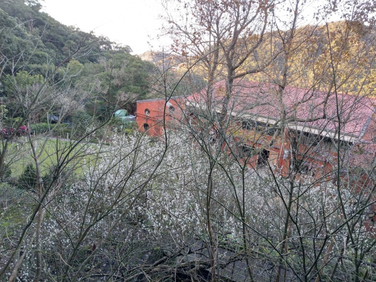 (圖/台北市府產發局)