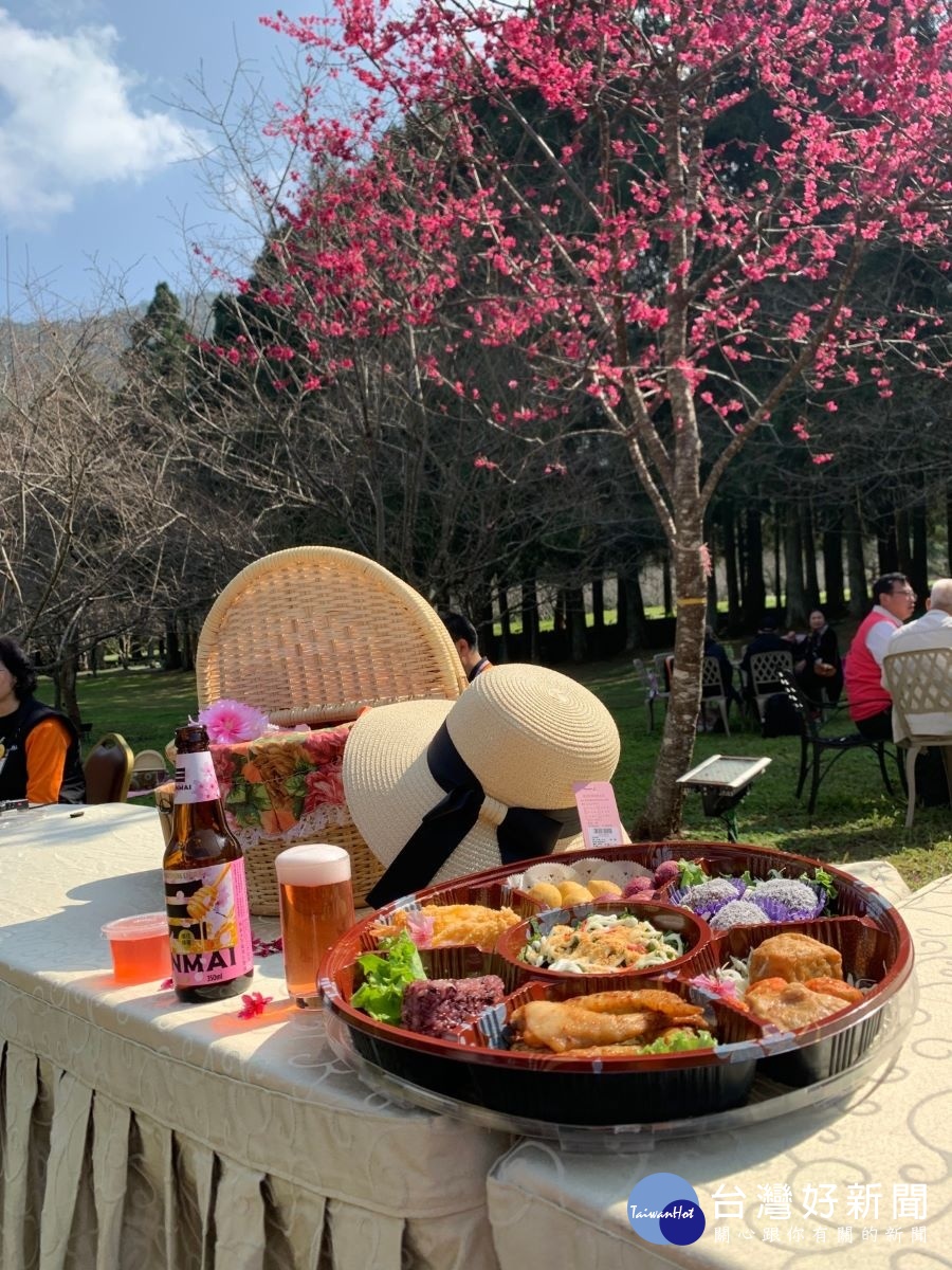 台灣最大的賞櫻盛會　九族櫻花祭開跑 台灣好新聞 第4張
