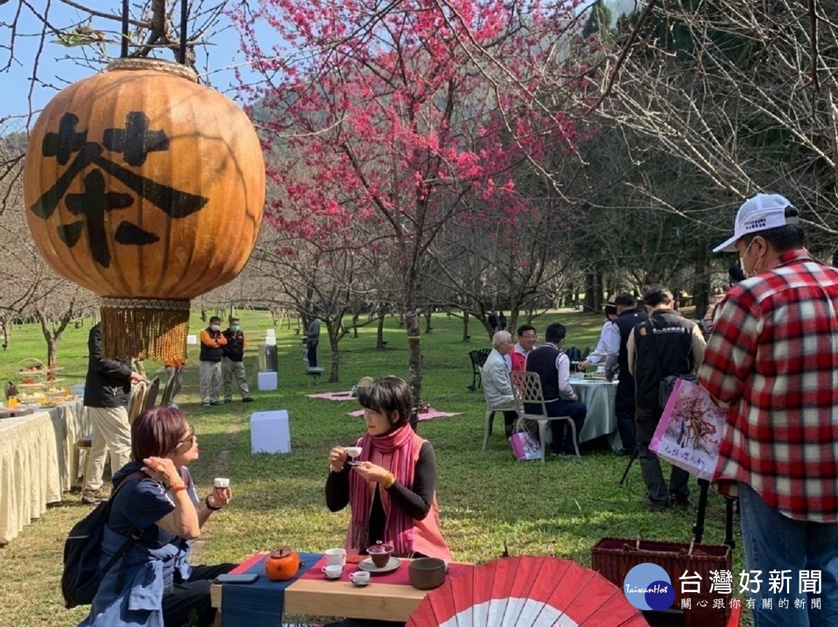 台灣最大的賞櫻盛會　九族櫻花祭開跑 台灣好新聞 第1張