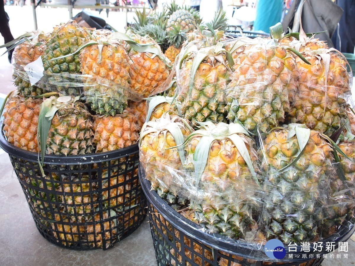 大陸禁台灣鳳梨輸入　社區鳳梨加工自立自強幫果農度過難關