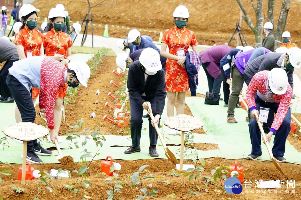 蔡英文總統視察「臺灣客家茶文化館」及周邊景觀工程,親手種植茶樹象徵重要的里程碑。