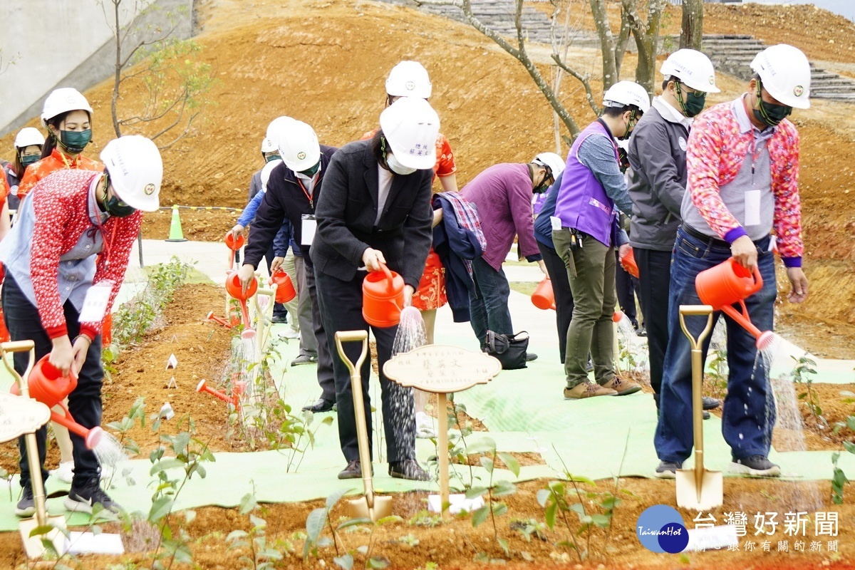 蔡英文總統視察「臺灣客家茶文化館」及周邊景觀工程,親手種植茶樹並澆水