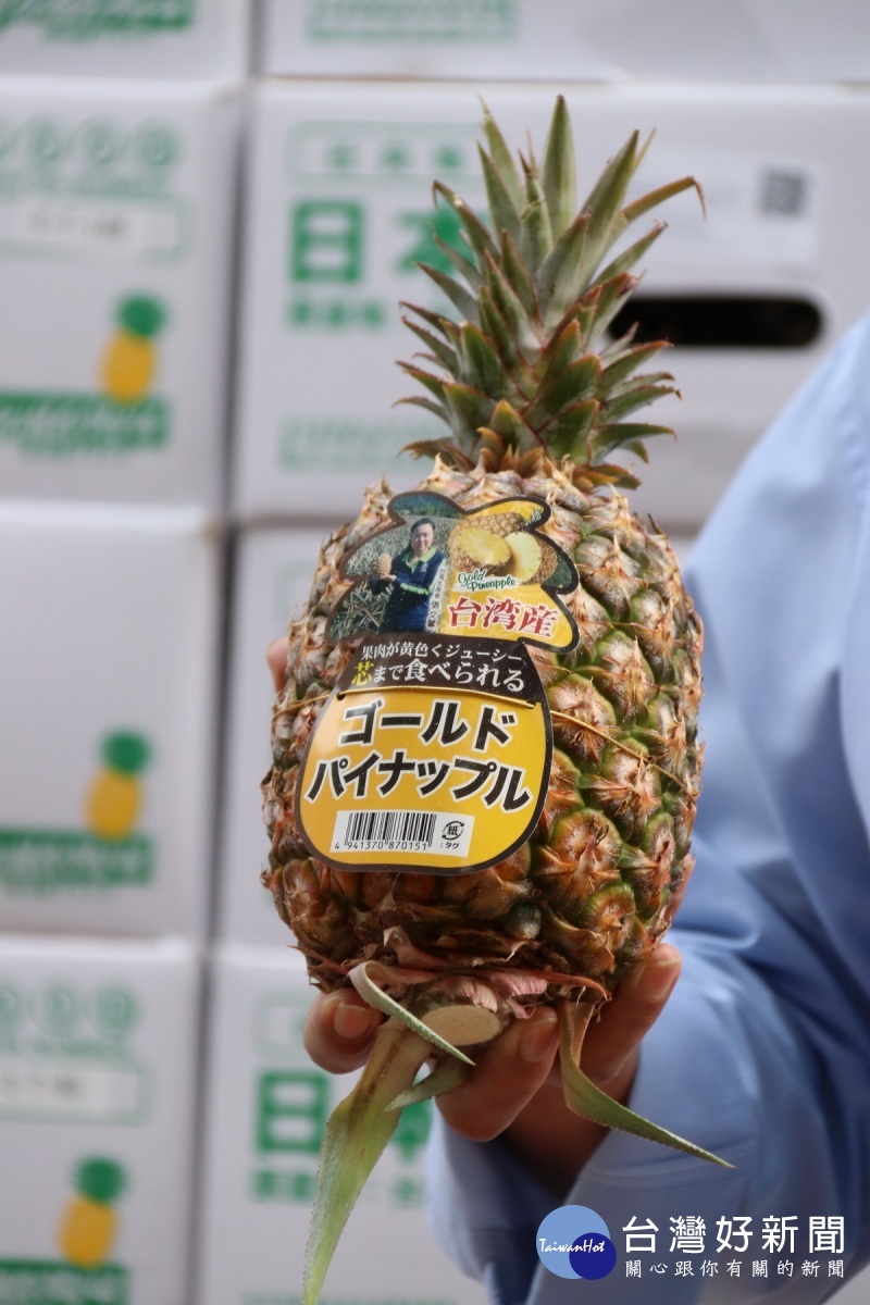 臺灣鳳梨汁多鮮甜很受歡迎。(農糧署提供)