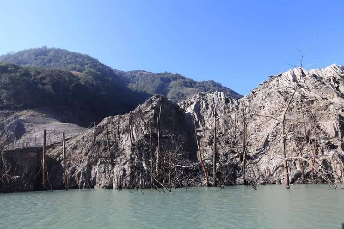 中部地區最大水庫德基水庫，蓄水率僅9.9%，創47年來新低，導致水庫下的枯樹林現蹤。（圖／翻攝臉書大台中生活網）