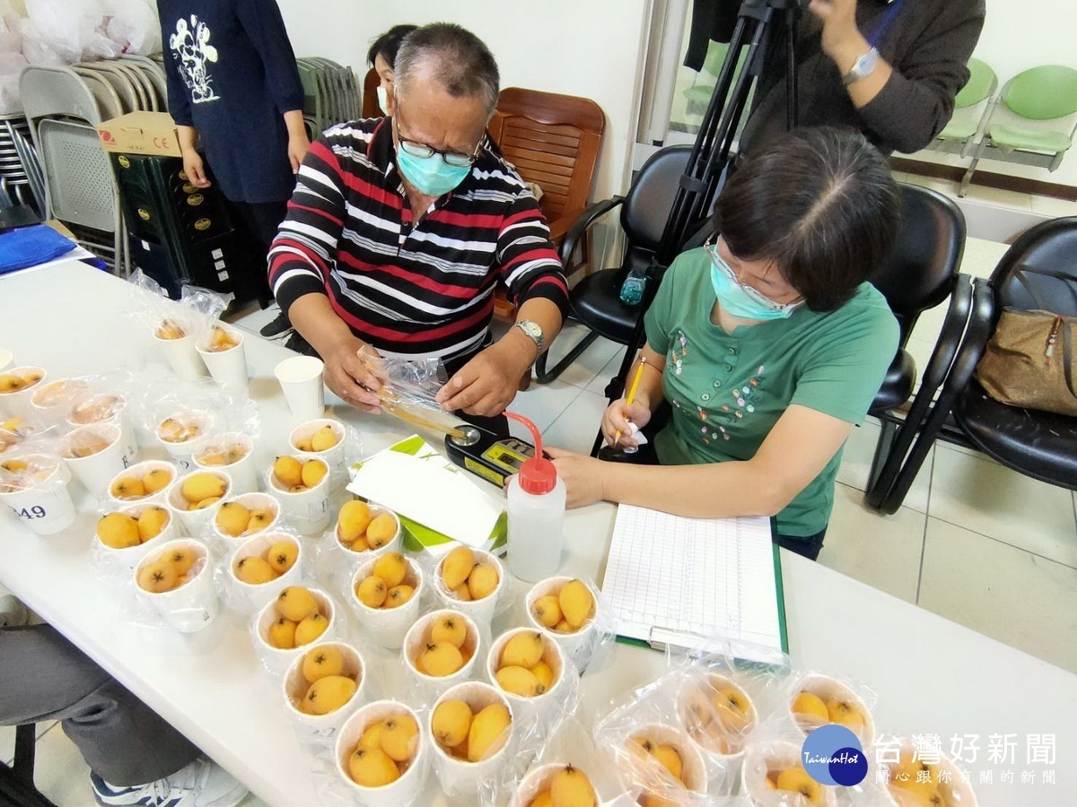 現場進行糖度檢測。