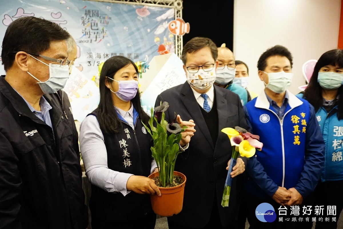 桃園市長鄭文燦特別介紹黑色天使海芋，強調是不容易看到的品種。