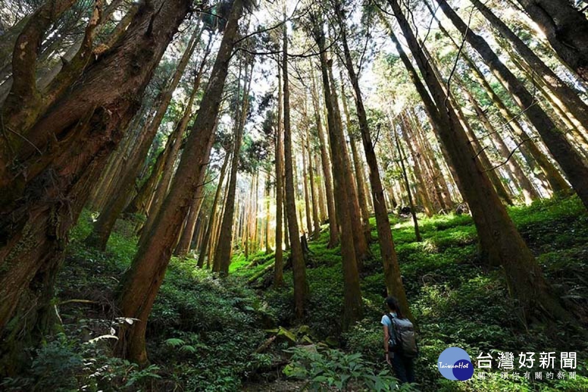 特富野古道／陳致愷翻攝