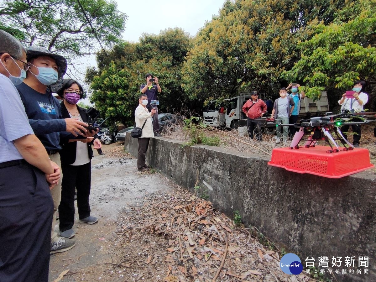 縣長王惠美關心防治情形,現場視察執行無人機空投釋放平腹小蜂的情形。圖/記者鄧富珍攝