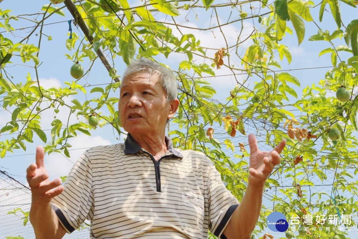 植人張永晉以區域輪作、有機農法加上熟悉植物屬性下悉心照顧,是馬修嚴選合作長達七年的百香果供應夥伴。