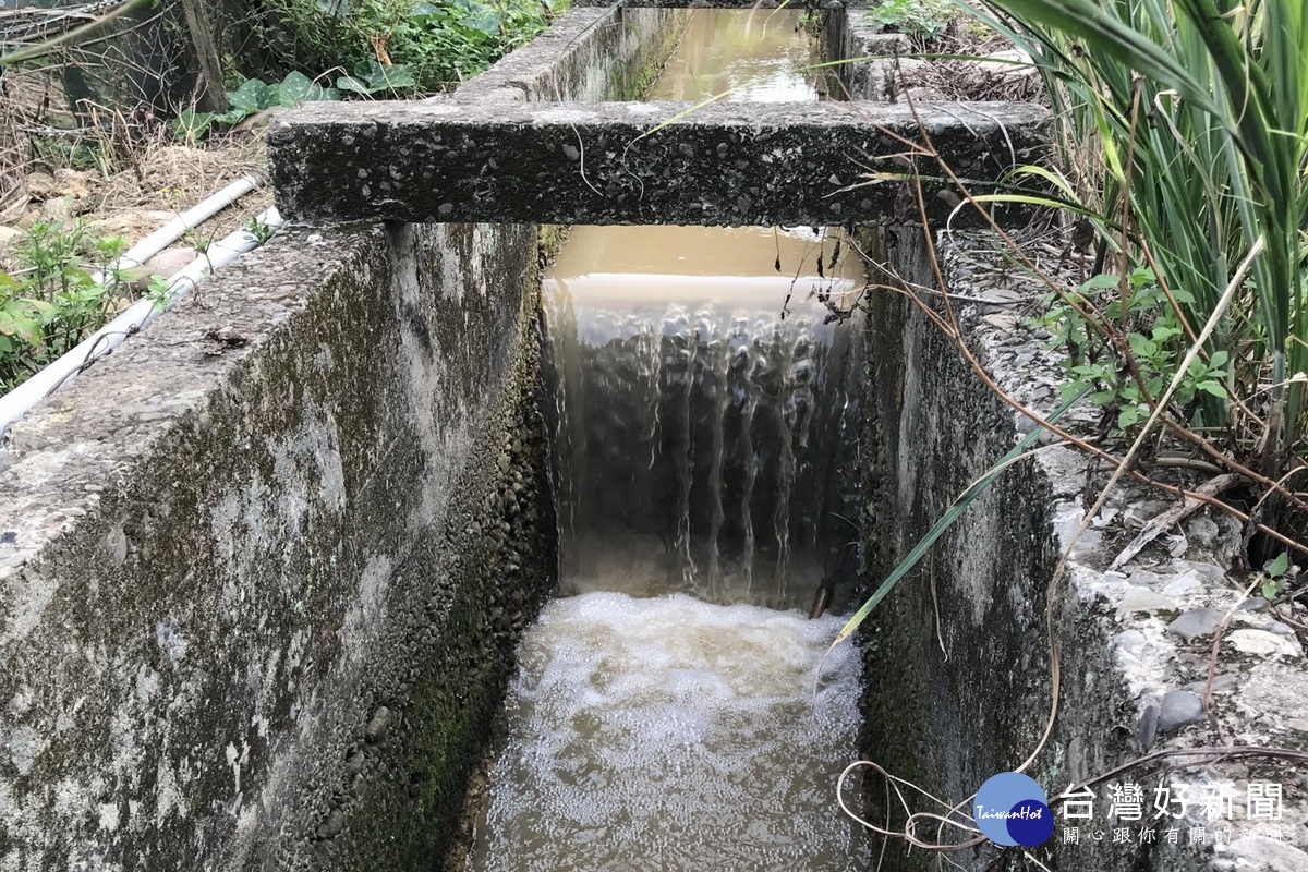 桃園市政府水務局運用魚管處滯洪池工程地下伏流水為抗旱再加分。