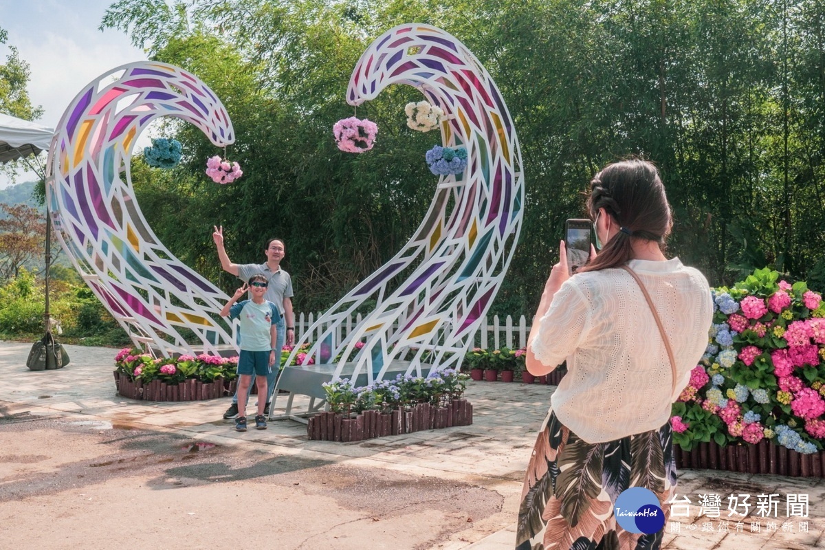 第一屆桃園繡球花季吸引各地眾前來觀賞遊玩盛況空前。