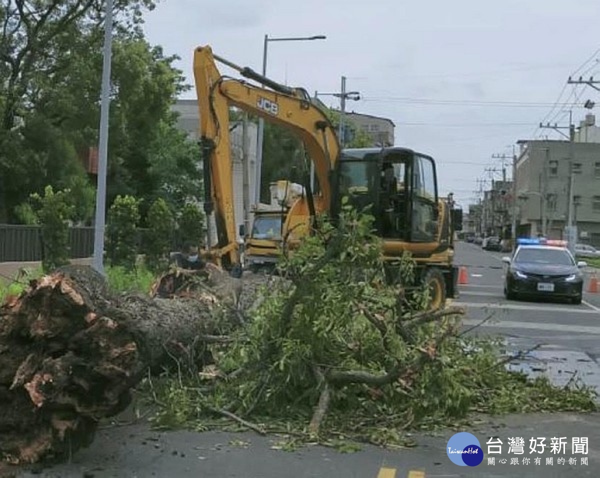 虎尾警方獲報樹木倒塌阻礙道路通行，立即於現場架設三角錐疏導交通秩序，並通知台電與清潔隊等協處，維護用路人安全。