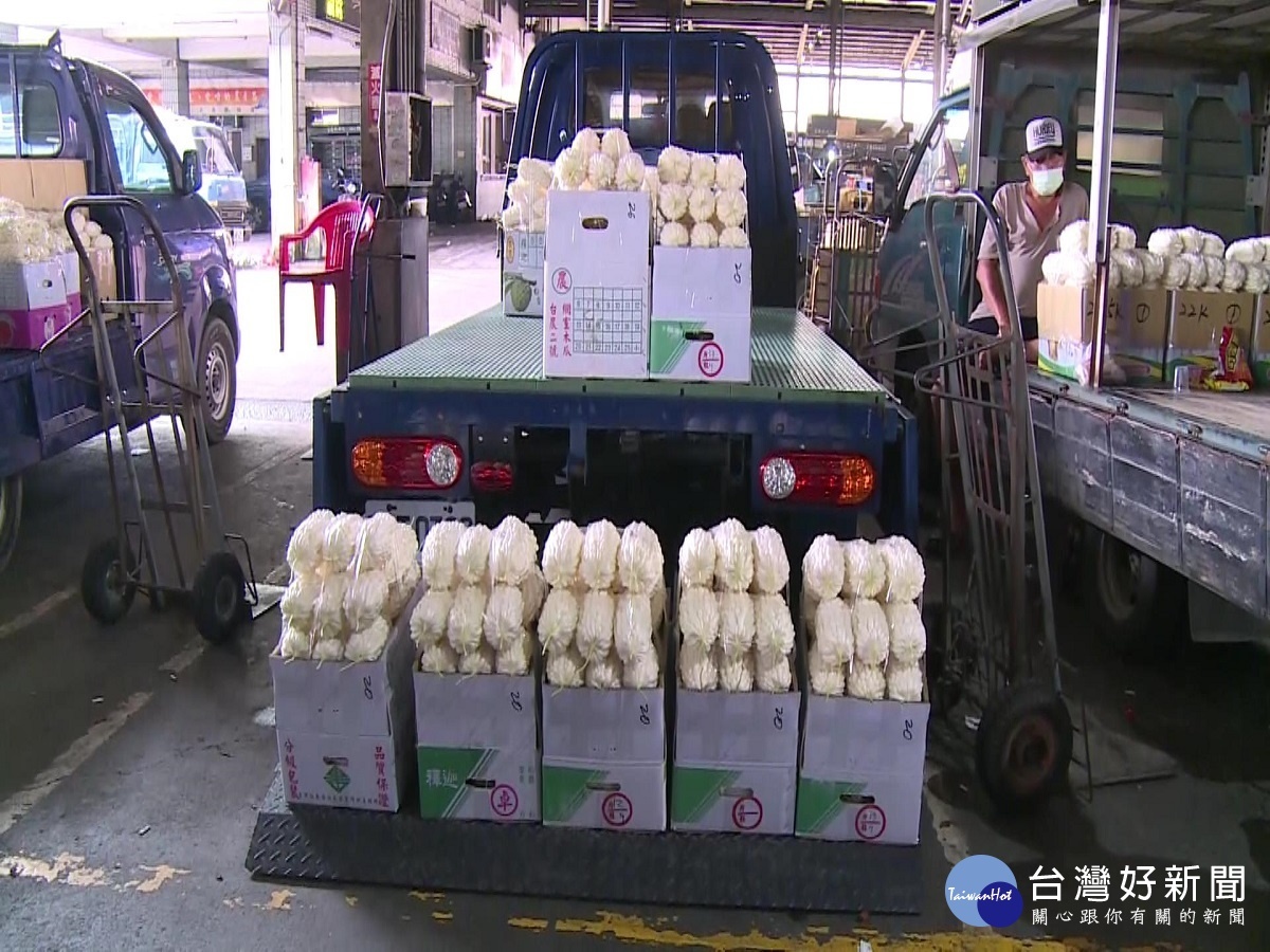 連日豪雨中南部蔬果受損慘重 菜價上漲農民忙搶收