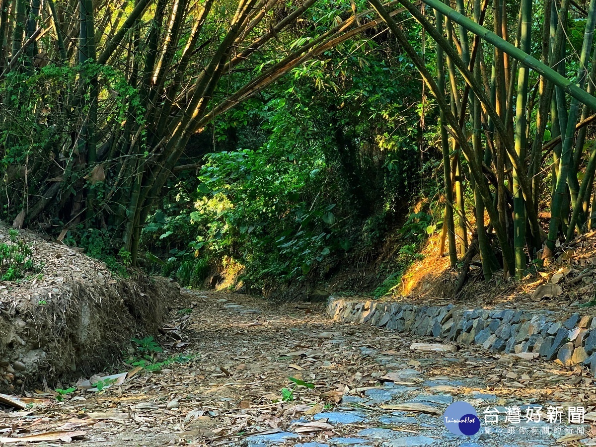 石牌坑生態步道創造人與自然的相遇　友善理念獲建築園冶獎