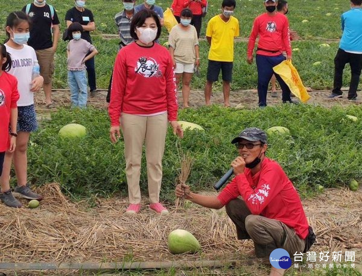 為減少西瓜天然災害的損失,保障瓜農收益,雲林縣政府首次開辦「西瓜保險」,縣府補助保險費10%,減輕農民負擔,呼籲踴躍投保。