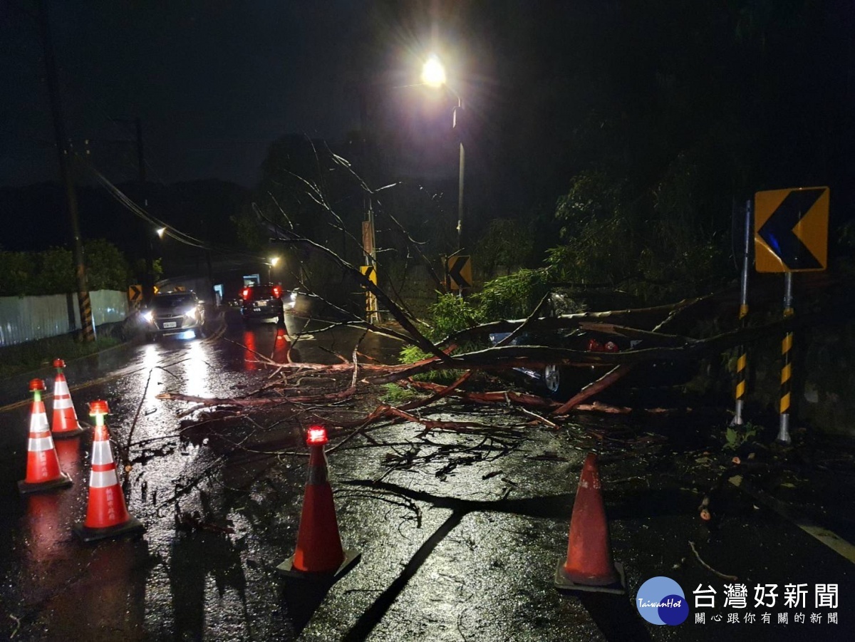 煙花颱風瞬間大雨，路樹不堪壓倒車輛成災，警方通知龜山區公所派員清除