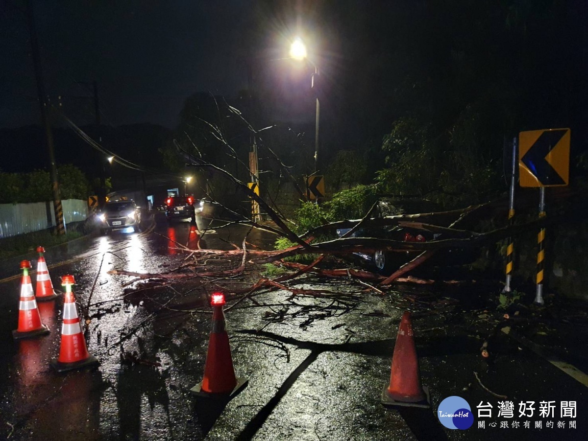 煙花颱風瞬間大雨,路樹不堪壓倒車輛成災,警方通知龜山區公所派員清除
