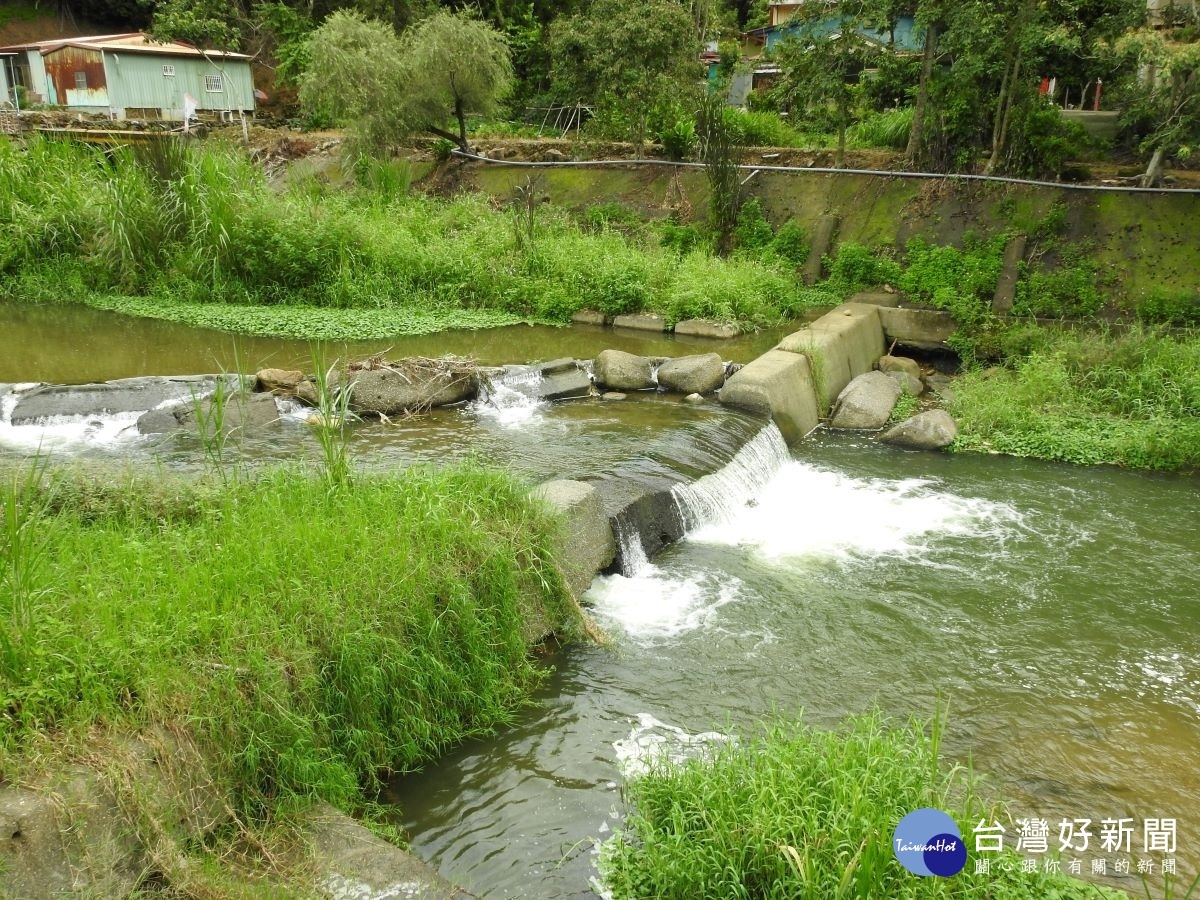 魚池鄉茭白筍重要水源之一的魚池溪