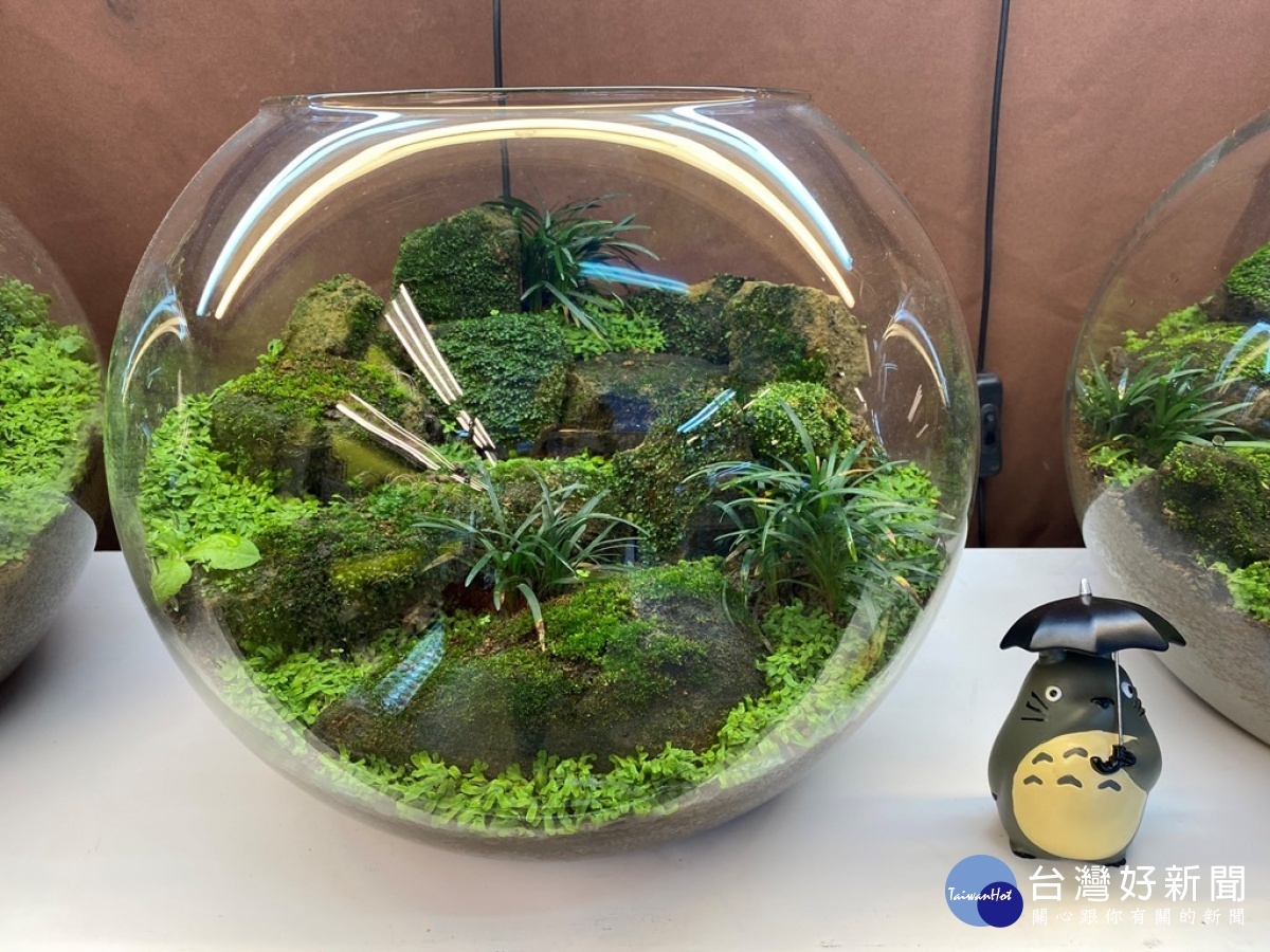 長青水草園另類農場,以濕地苔蘚植物作成創新的農業微景觀生態缸。(圖/記者賴淑禎攝)