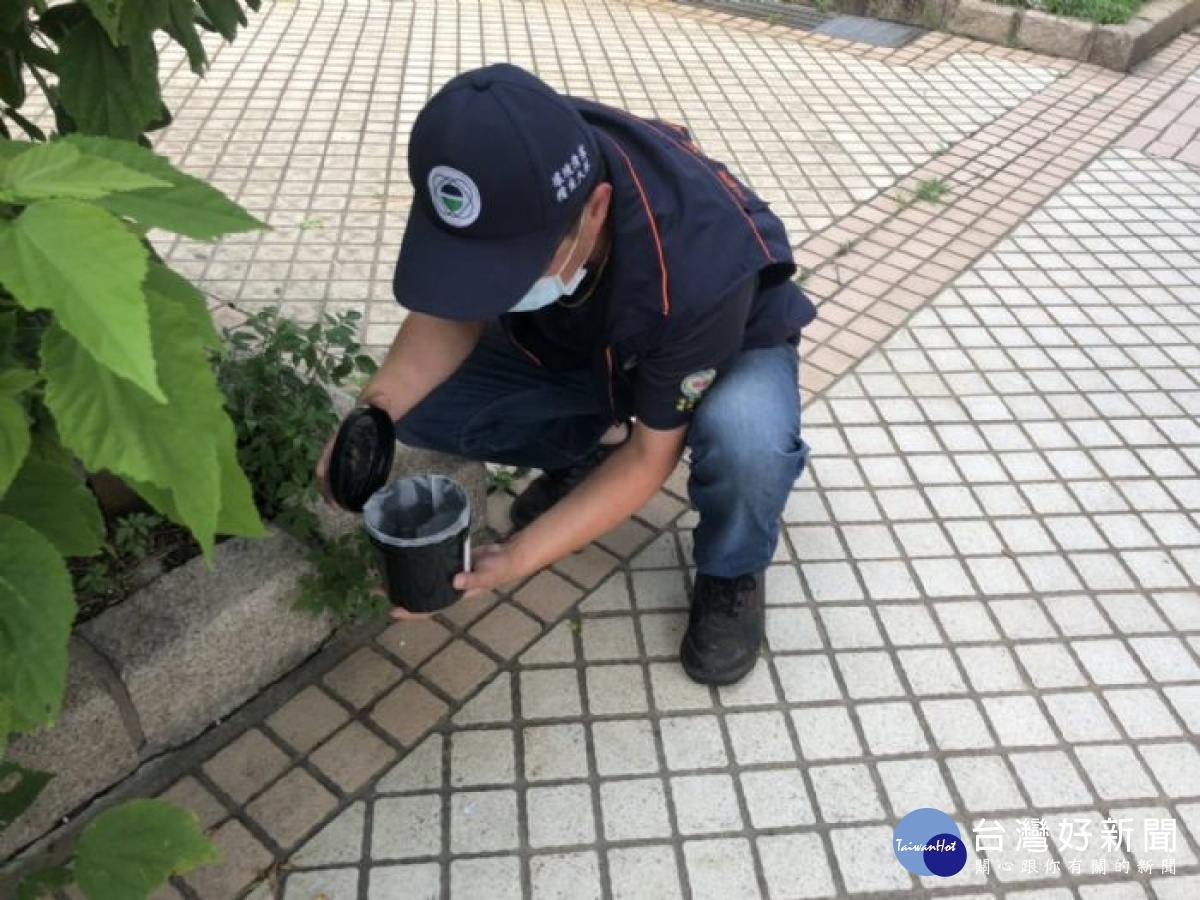 桃環局第2次全市大消毒佈建登革熱防護網,「巡、倒、清、刷」4絕傳染源