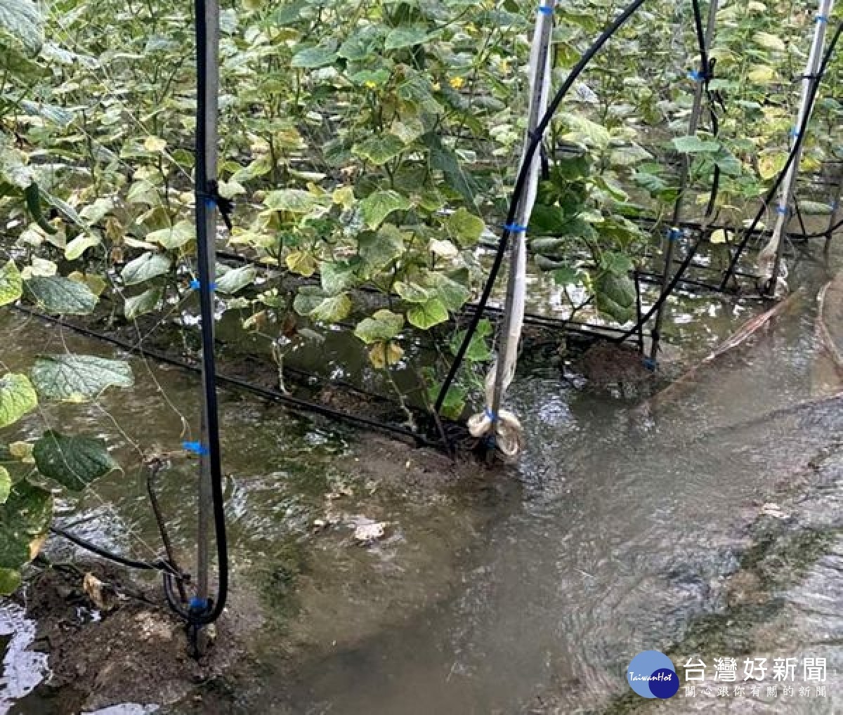 受西南氣流豪雨影響，雲林縣陸續傳出農損，2日止災損已達872萬元，但仍有雞舍淹水和漫流地區，預估大水退後災情會更明顯。