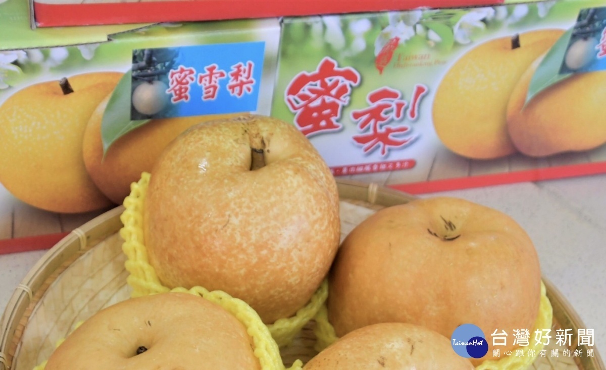 彰化優質蜜雪梨,果實碩大,口感甜而多汁。圖/彰化縣政府提供
