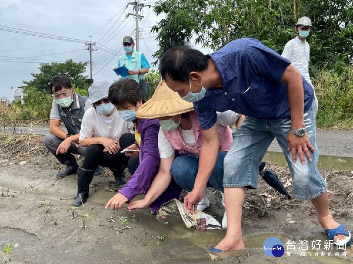 立委蘇治芬邀集農委會農糧署中區分署長姚士源與農改場雲林分場長楊藹華等人,一同前往褒忠、元長及水林勘查因淹水受損之農作。