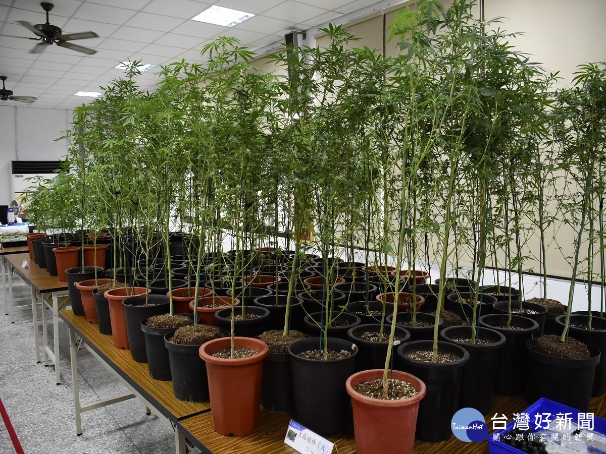 執行防疫不忘緝毒 彰化檢警破獲重大毒品案件