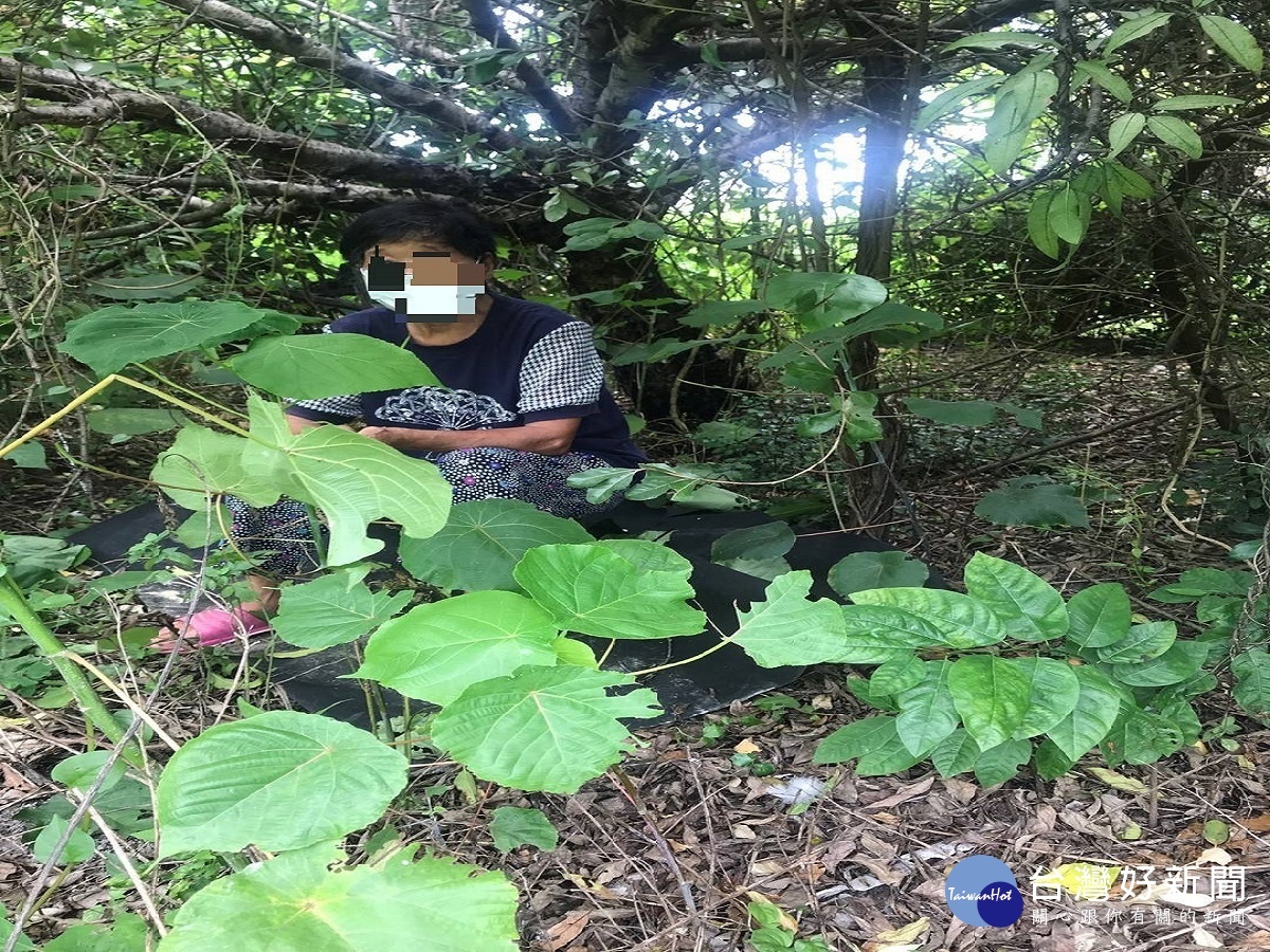 失智老婦走失家屬慌張急尋 暖警草叢堆中尋獲協助送回家