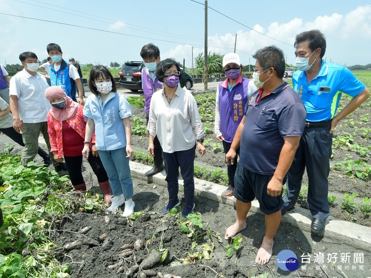 縣長王惠美及立委謝衣鳳視察大城鄉損情形。圖／彰化縣政府提供