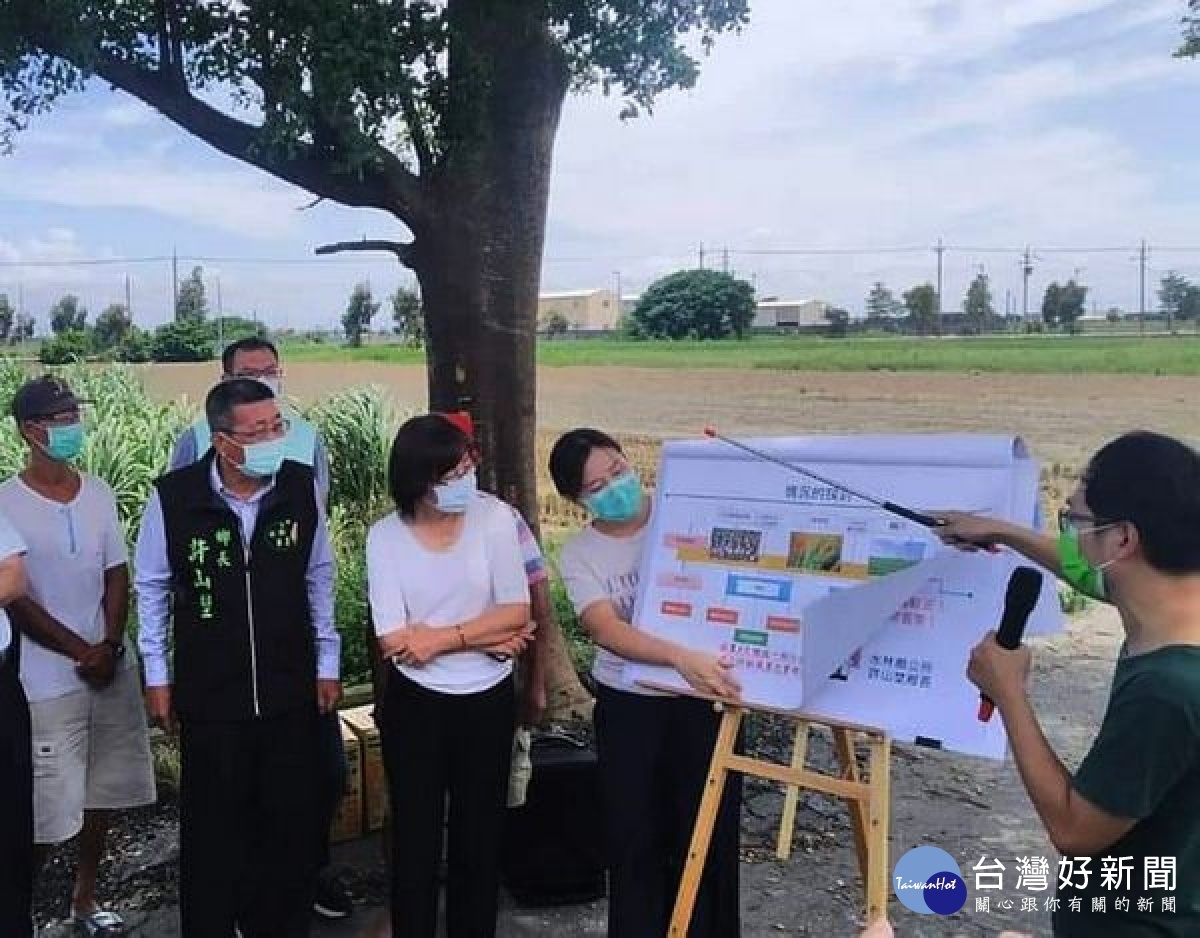 立委蘇治芬向農委會爭取，盼能因地制宜，考慮雲林的蒜頭特殊期作，維持蒜農的天災救助以及二期轉作獎勵。