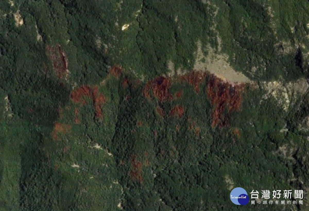 大火後衛星影像取得現場一片焦土。（南投檢方提供）