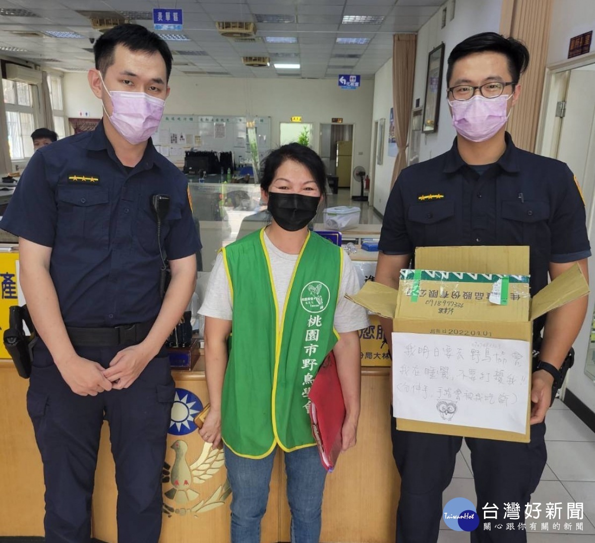 貓頭鷹現身派出所,警方通知動保處安置