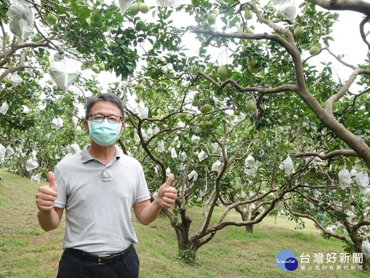 第28屆文旦柚冠軍張讚群