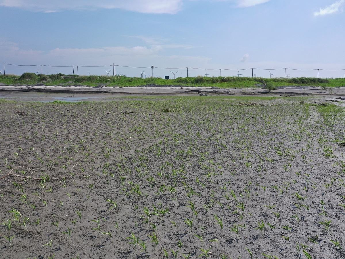 第四河川局揚塵防制2.0 搭配空拍機確認滾動檢討揚塵抑制措施