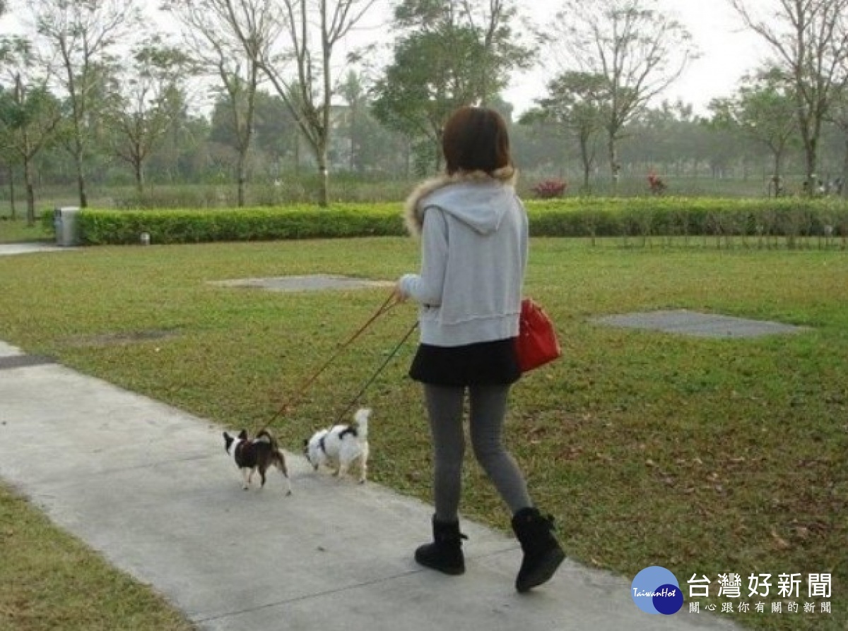 寵物出入公共場所應由7歲以上之人員伴同,若飼主疏縱犬隻獨自在外遊蕩,可依法處新臺幣3,000元至1萬5,000元罰鍰