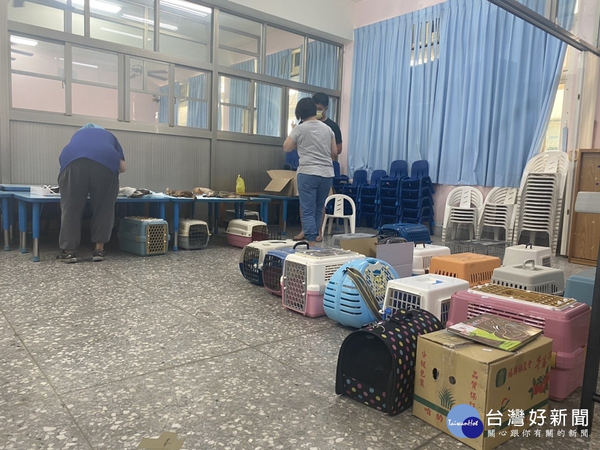 控管犬貓繁殖源頭　彰縣免費混種犬貓絕育三合一開跑