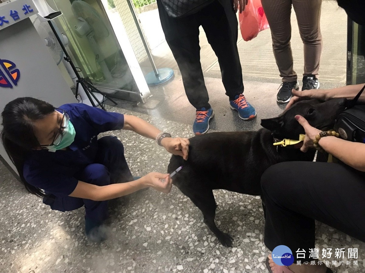 樹林高中將牠納入校園犬