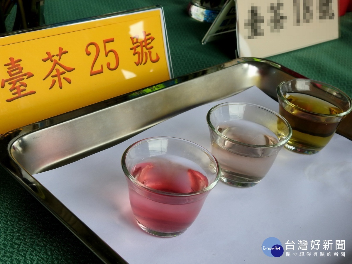 台茶25號因花青素含量高,一加入檸檬汁,茶湯瞬間變成明亮迷人的粉紅色