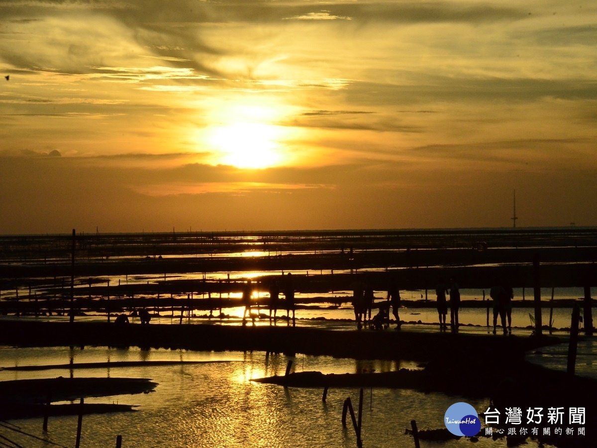 防範疫情擴散風險 彰縣停辦「國際海牛文化節」及「國慶慶祝活動」