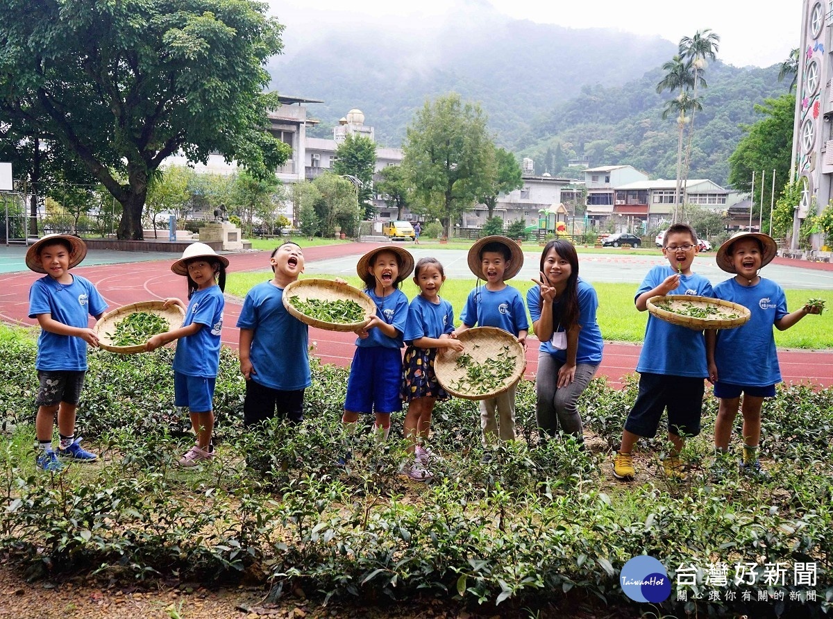 坪林國小將生命教育全面融入各項課程與活動，如培訓小茶師、關懷社區長者、護螢行動、植樹活動等