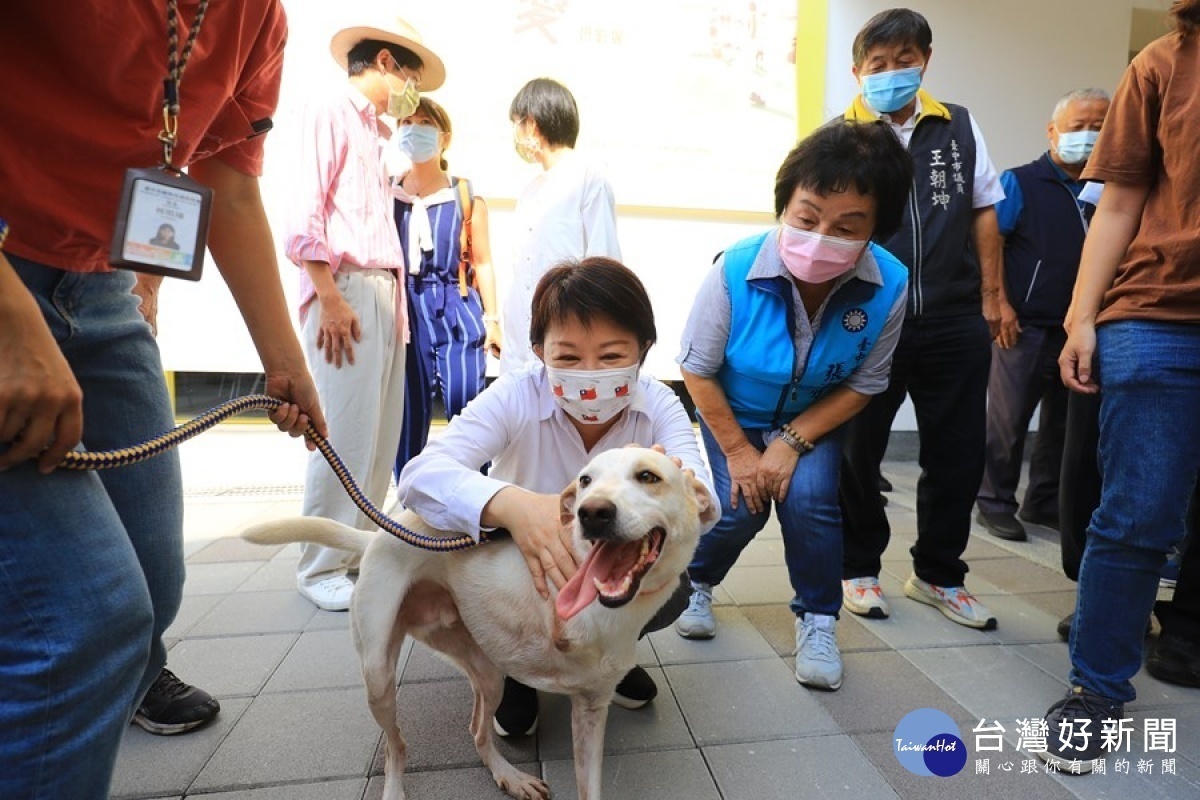 盧市長開心與流浪動物互動。