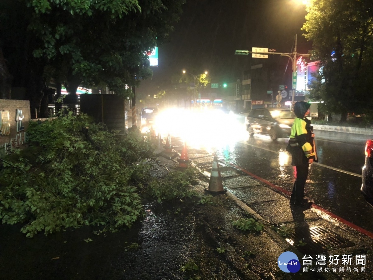圓規颱風外圍環流豪雨造成路樹倒塌，龍潭警冒雨拉樹交管