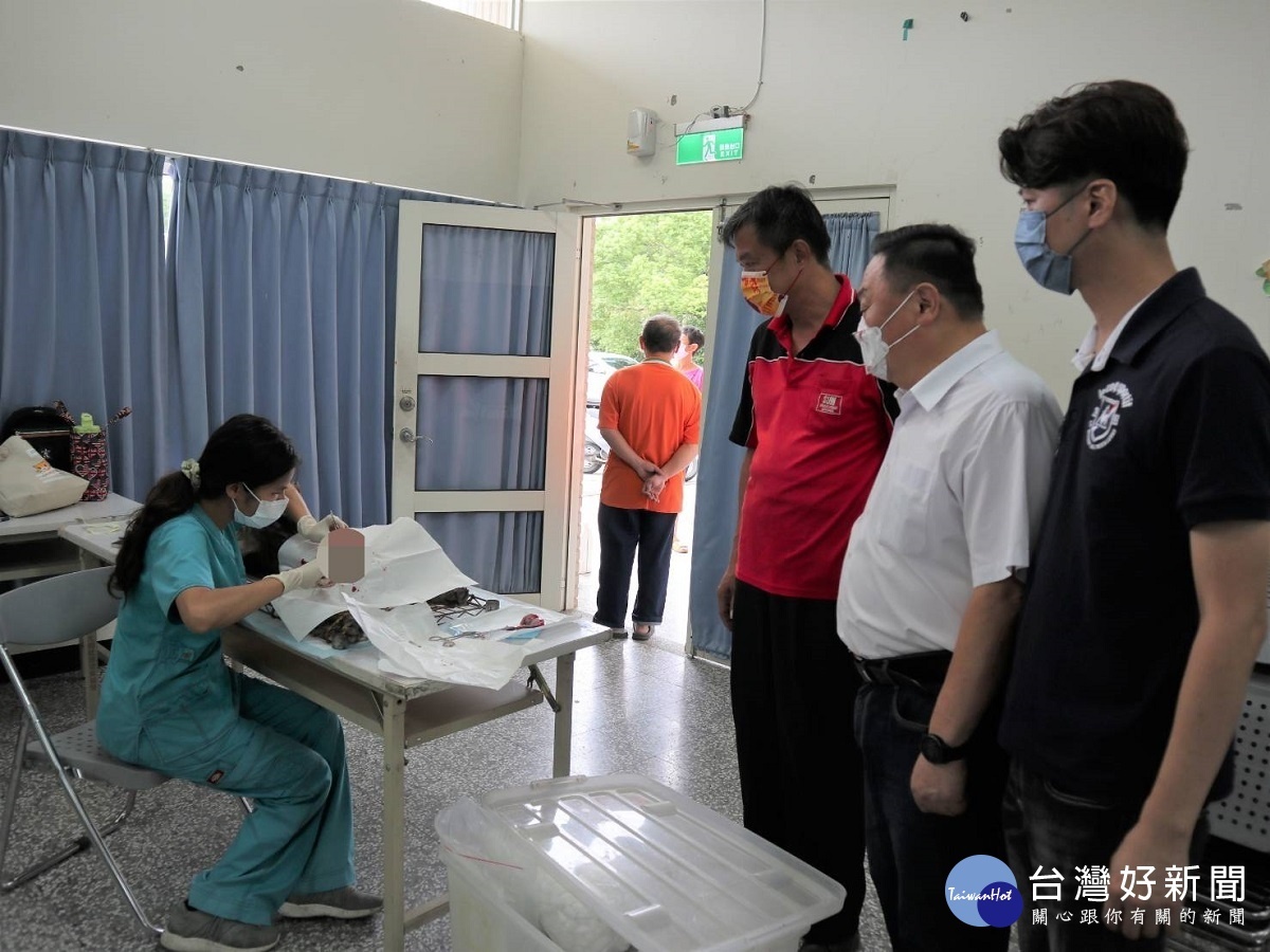 為減少流浪動物產生　員林市首度配合辦理犬貓絕育活動