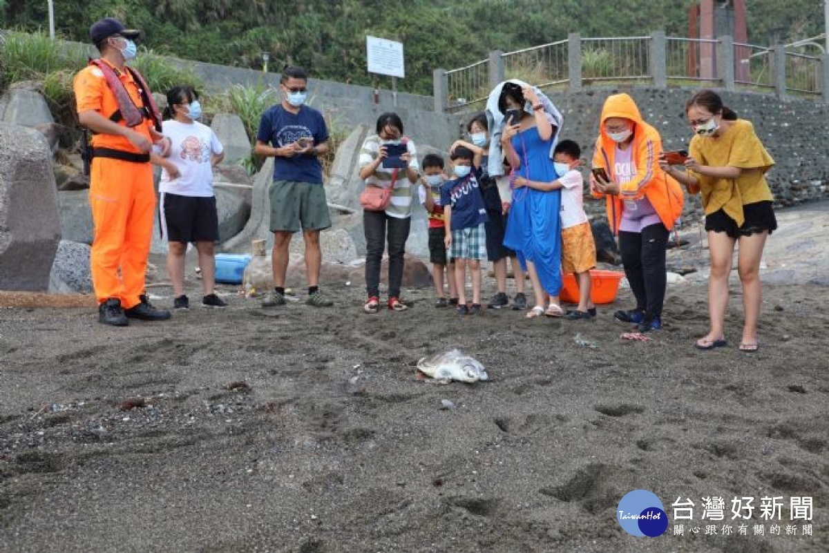 桃園市政府與臺灣海洋大學團隊合作在基隆潮境公園海域成功野放小欖蠵龜