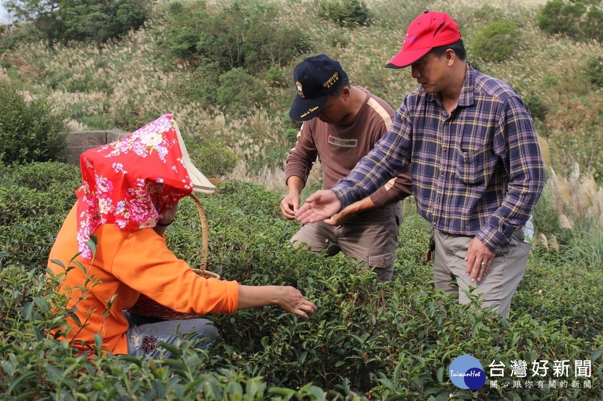 第二屆全國金牌農村揭曉,桃園市內柵社區與大北坑社區分獲銀銅雙獎。
